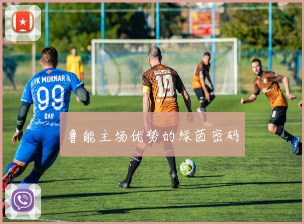 鲁能主场优势的绿茵密码