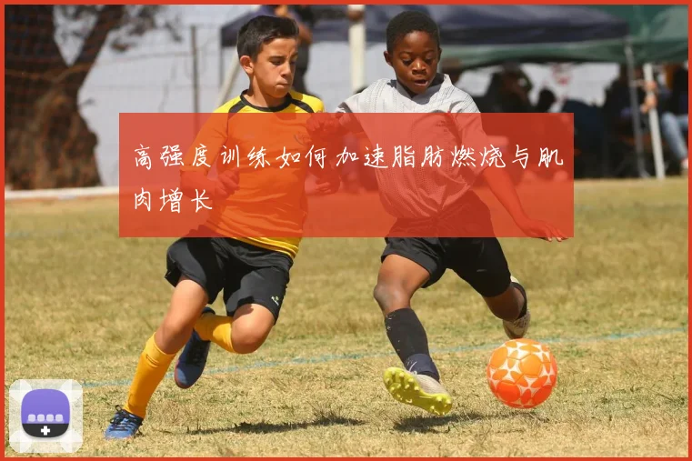 高强度训练如何加速脂肪燃烧与肌肉增长